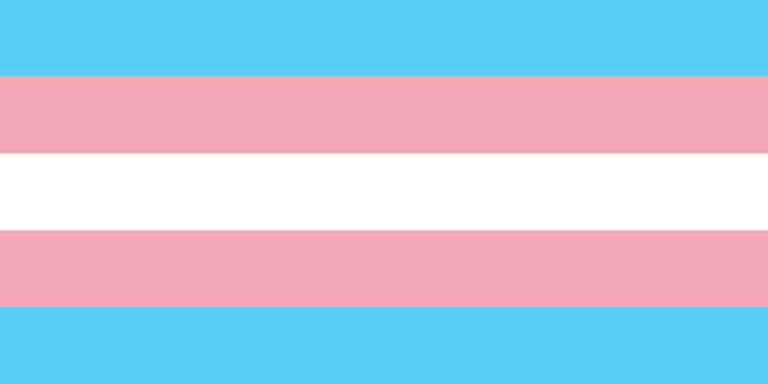 Lawyers’ Committee Response to Multi-State Challenge Concerning Treatment of Transgender Students